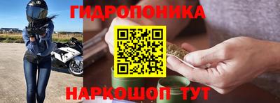 герыч Кингисепп