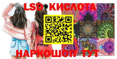 герыч Кингисепп