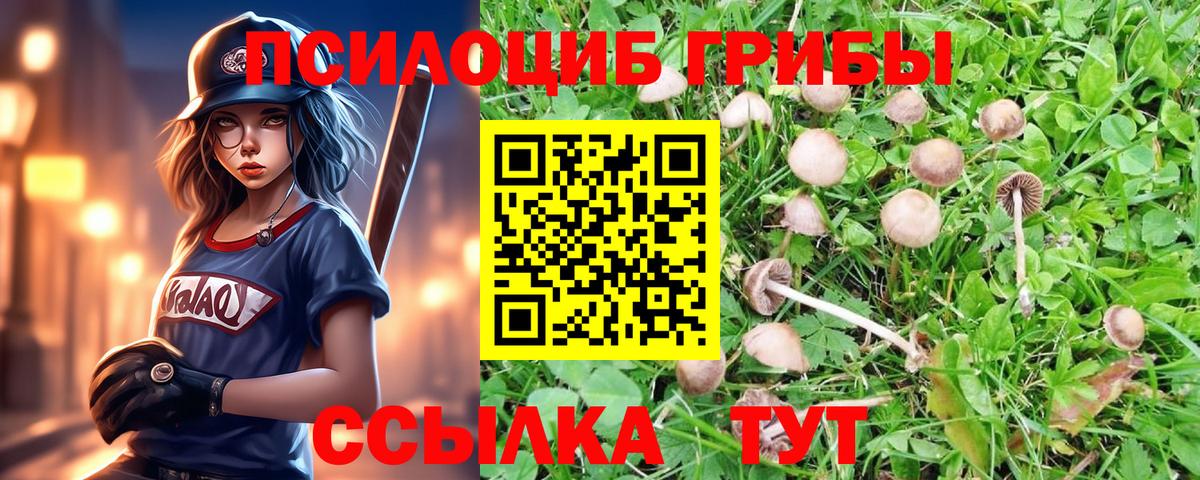 Псилоцибиновые грибы мухоморы  Галлюциногенные грибы Cubensis  Вход с VPN  Котовск 