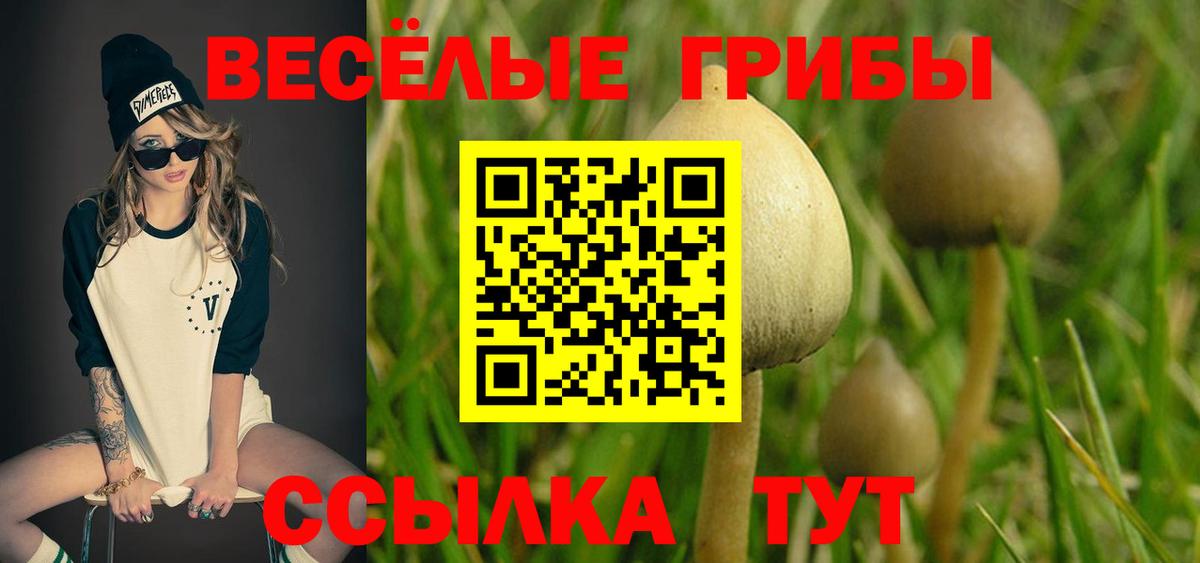 Псилоцибиновые грибы мицелий Котовск